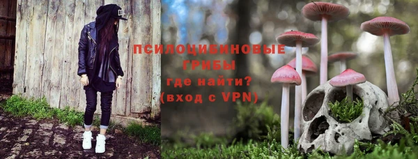 соль ск Нефтегорск